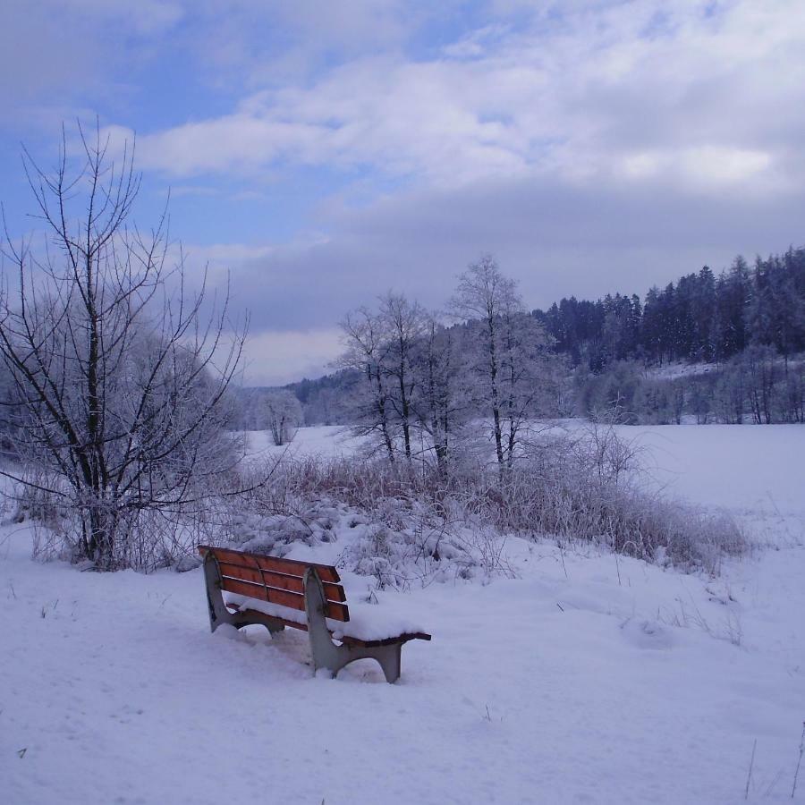 Feriendomizil-Sauerland Fewo 1 Медебах Экстерьер фото
